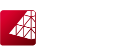 The IT Company